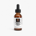 Mushroom Energy & Cognition Drops